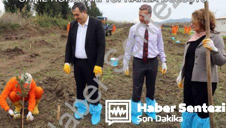 Dalaman Açık Cezaevi’nde Üretim Hamlesi: Sakız Ağaçları Toprakla Buluştu