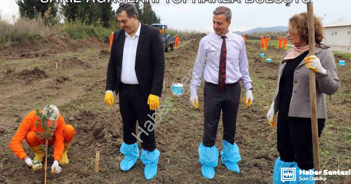 "Dalaman Açık Cezaevi'nde Üretim Hamlesi: Sakız Ağaçları Toprakla Buluştu" başlıklı haber için fotor