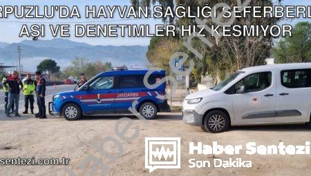 Karpuzlu’da Hayvan Sağlığı Seferberliği: Aşı ve Denetimler Hız Kesmiyor