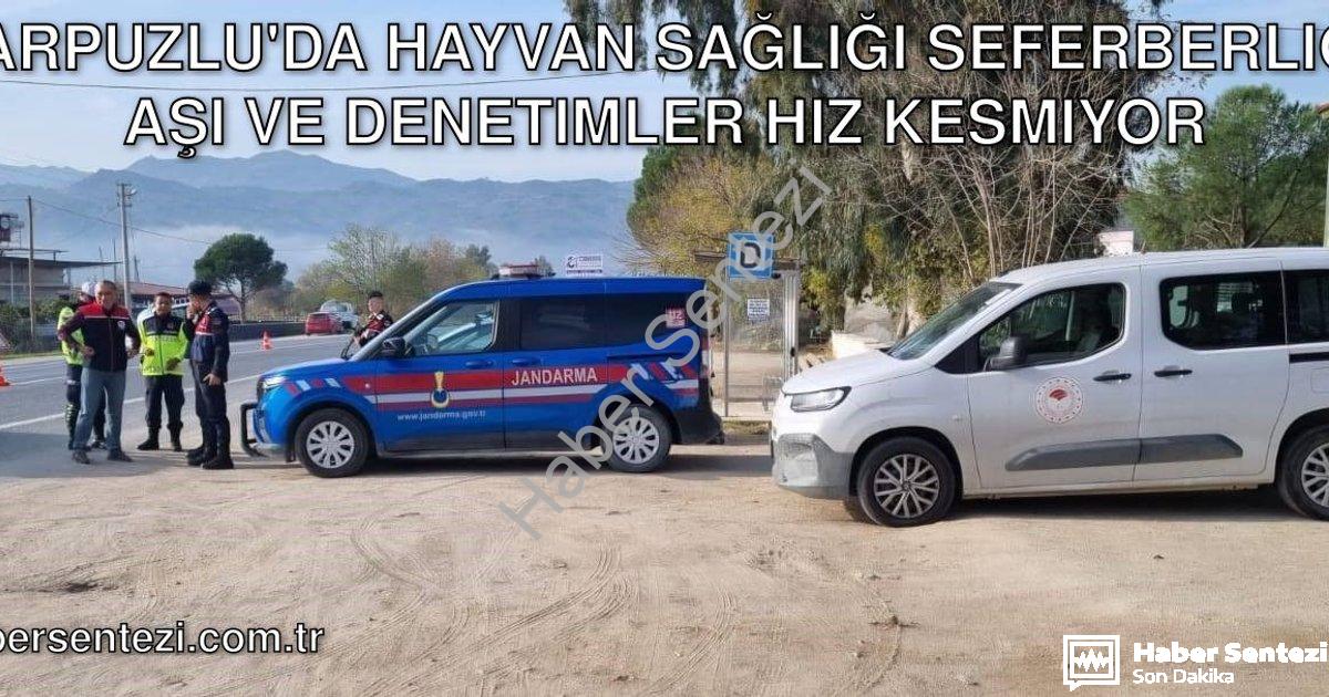 "Karpuzlu'da Hayvan Sağlığı Seferberliği: Aşı ve Denetimler Hız Kesmiyor" başlıklı haber için fotore