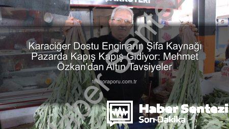 Karaciğer Dostu Enginar Pazarda Kapış Kapış Gidiyor: Şifa Kaynağına Yoğun İlgi!