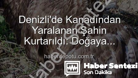 Denizli’de Kanadından Yaralı Bulunan Şahin Tedavi Altına Alındı: Kurtarma Operasyonu Detayları