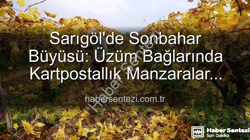 Sarıgöl'de budama - Sarıgöl'de Sonbahar Büyüsü: Üzüm Bağlarında Kartpostallık Manzaralar Eşliğinde Budama Çalışmaları Devam Ediyor