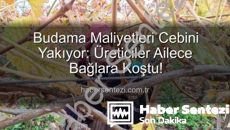 Budama Maliyetleri Cebini Yakıyor: Üreticiler Ailece Bağlara Koştu!