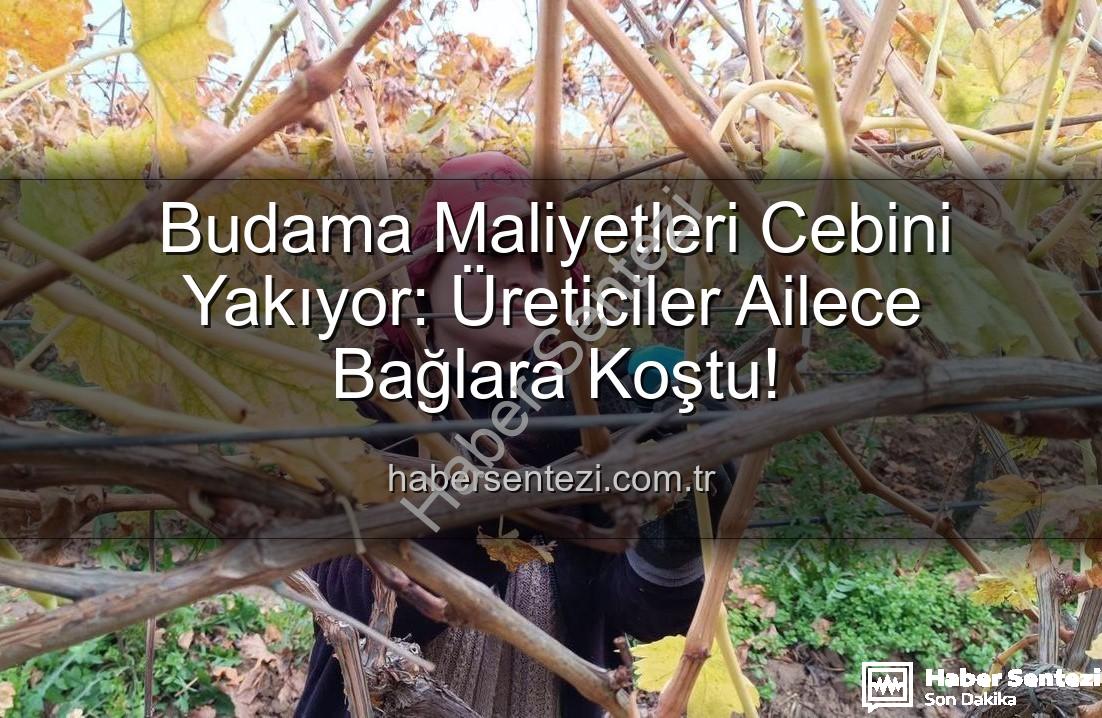 Budama Maliyetleri Cebini Yakıyor: Üreticiler Ailece Bağlara Koştu!