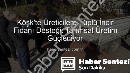 Köşk’te Üreticilere Tüplü İncir Fidanı Desteği: Tarımsal Üretim Güçleniyor