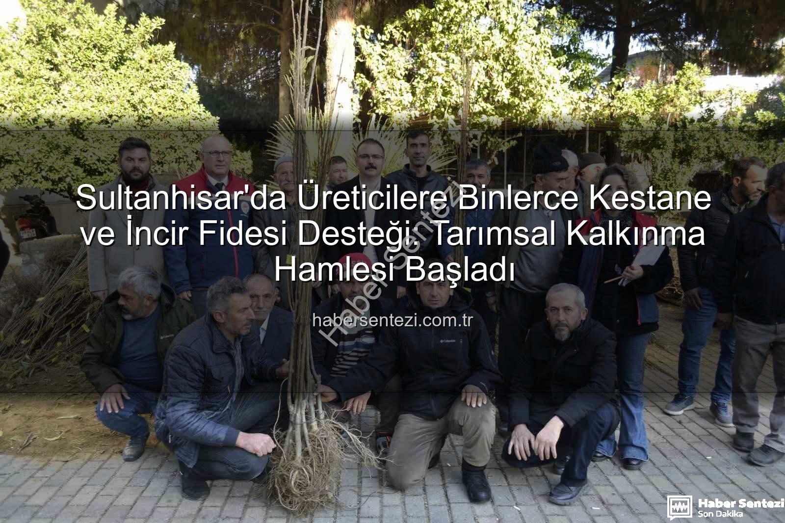 kestane incir fidesi - Sultanhisar'da Üreticilere Binlerce Kestane ve İncir Fidesi Desteği: Tarımsal Kalkınma Hamlesi Başladı