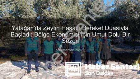 Yatağan’da Zeytin Hasadı Bereket Duasıyla Başladı: Bölge Ekonomisi İçin Umut Dolu Bir Sezon