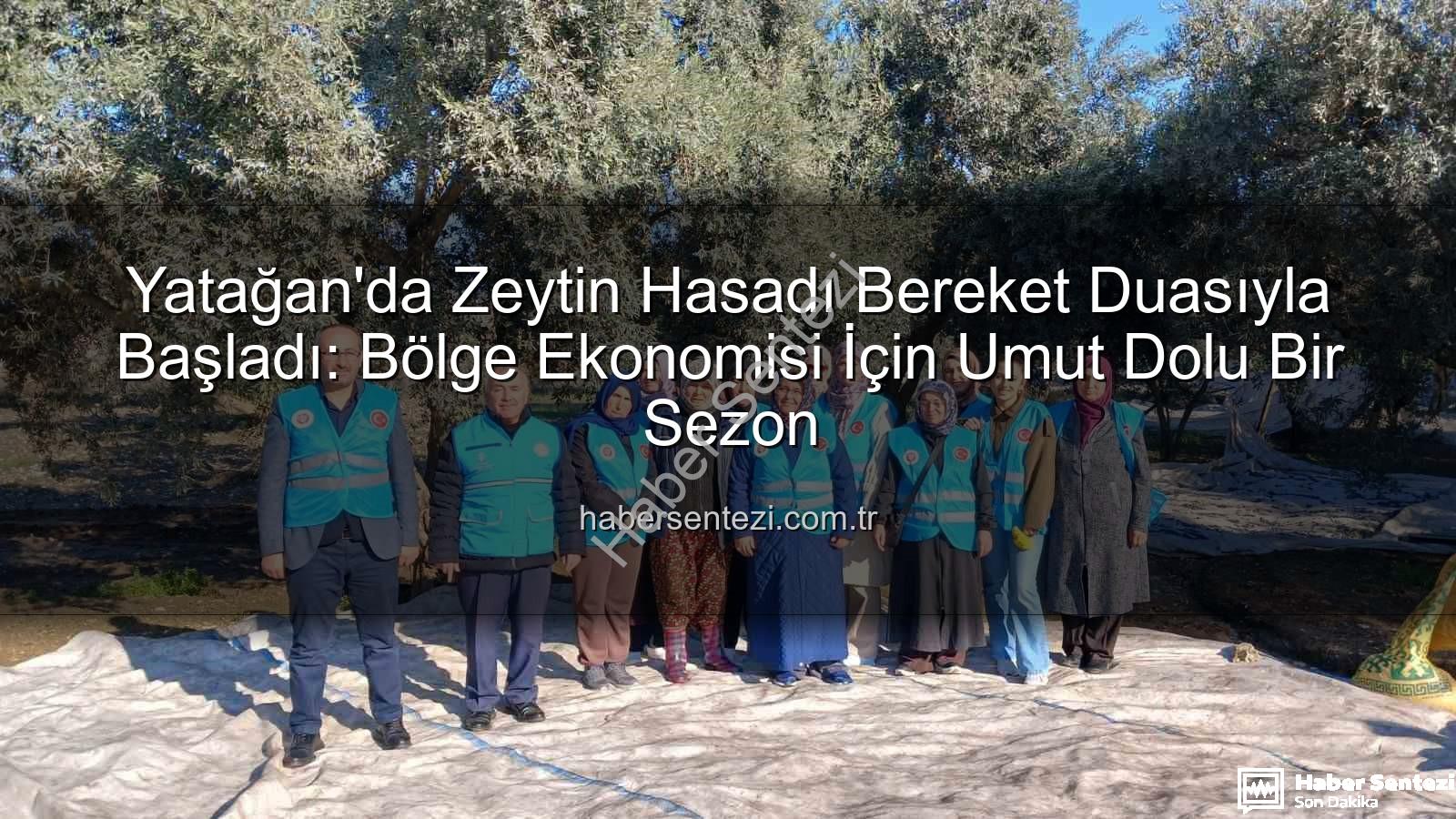 Yatağan zeytin hasadı - Yatağan'da Zeytin Hasadı Bereket Duasıyla Başladı: Bölge Ekonomisi İçin Umut Dolu Bir Sezon