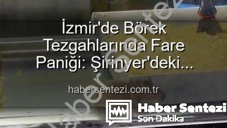 İzmir’de Börek Tezgahlarında Fare Paniği: Şirinyer’deki İşletmeye Mühür Vuruldu
