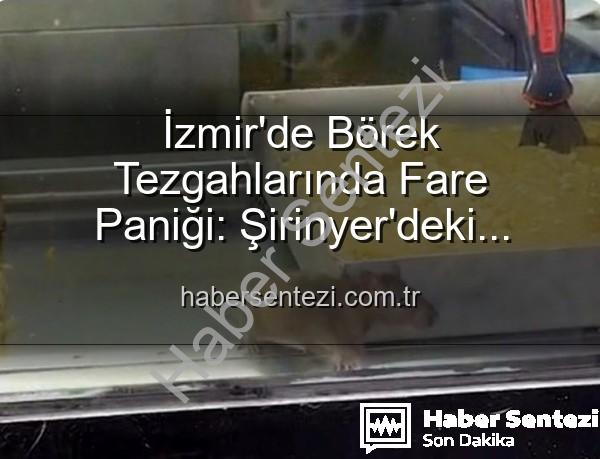 börek tezgahlarında fare - İzmir'de Börek Tezgahlarında Fare Paniği: Şirinyer'deki İşletmeye Mühür Vuruldu