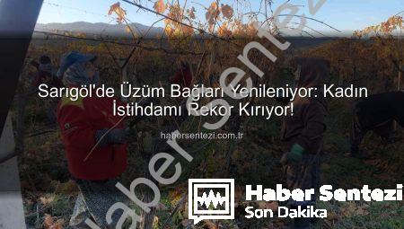 Sarıgöl’de Üzüm Bağları Yenileniyor: Kadın İstihdamı Rekor Kırıyor!