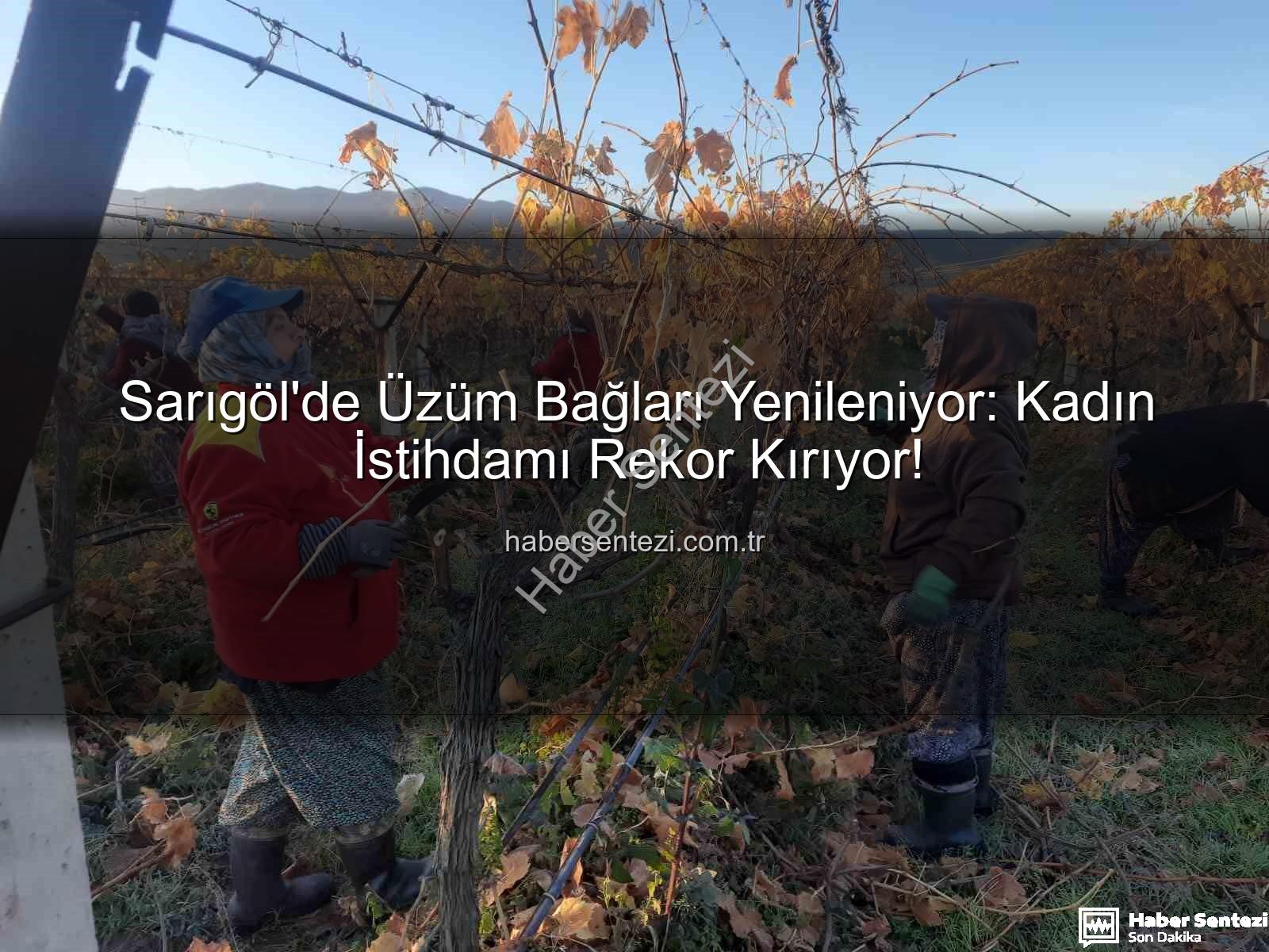 kadın istihdamı - Sarıgöl'de Üzüm Bağları Yenileniyor: Kadın İstihdamı Rekor Kırıyor!