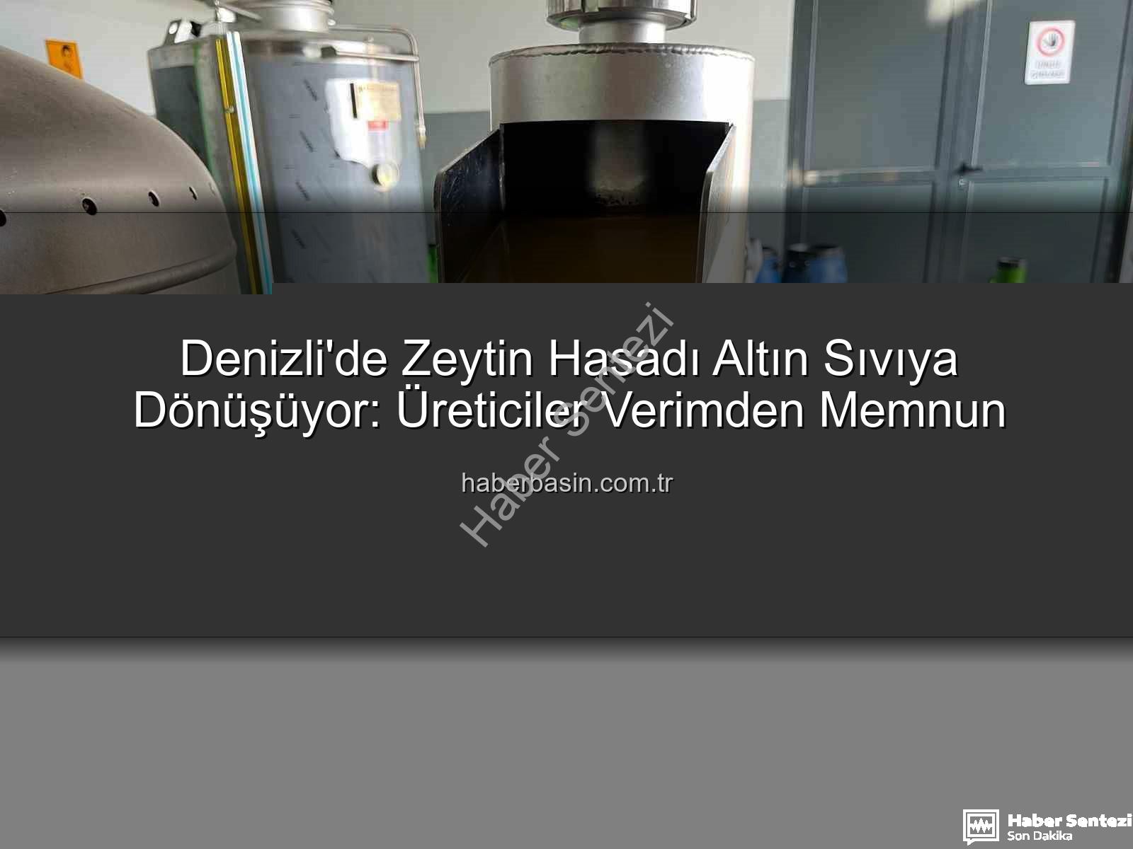 zeytinyağı üretimi - Denizli'de Zeytinin Altın Sıvıya Dönüşüm Yolculuğu: Buldan'da Üretim Hız Kesmeden Devam Ediyor