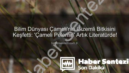 Bilim Dünyası Çameli’nin Gizemli Bitkisini Keşfetti: ‘Çameli Pelemiri’ Artık Literatürde!