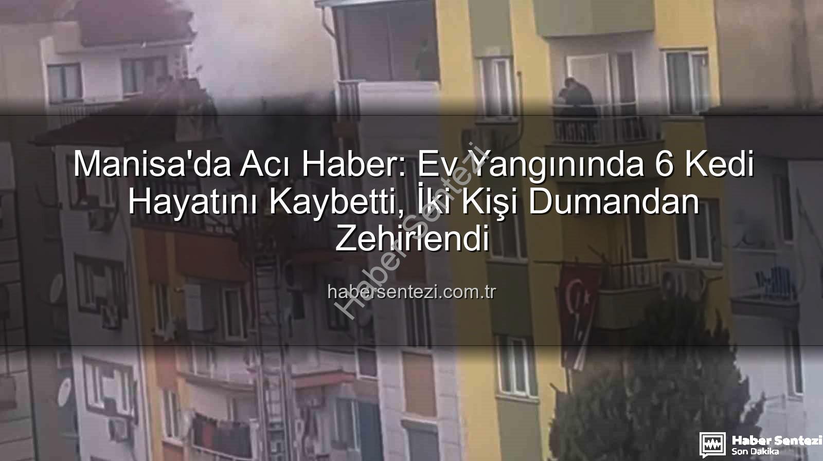 Manisa ev yangını - Manisa'da Acı Haber: Ev Yangınında 6 Kedi Hayatını Kaybetti, İki Kişi Dumandan Zehirlendi