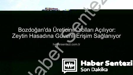 Bozdoğan’da Üreticinin Yolları Açılıyor: Zeytin Hasadına Güvenli Erişim Sağlanıyor
